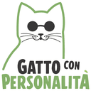 Gatto con Personalità