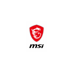 MSI